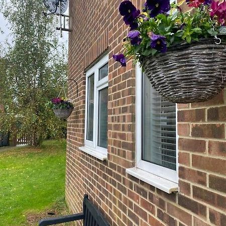 Cosy Studio Apartment Waterlooville Eksteriør bilde