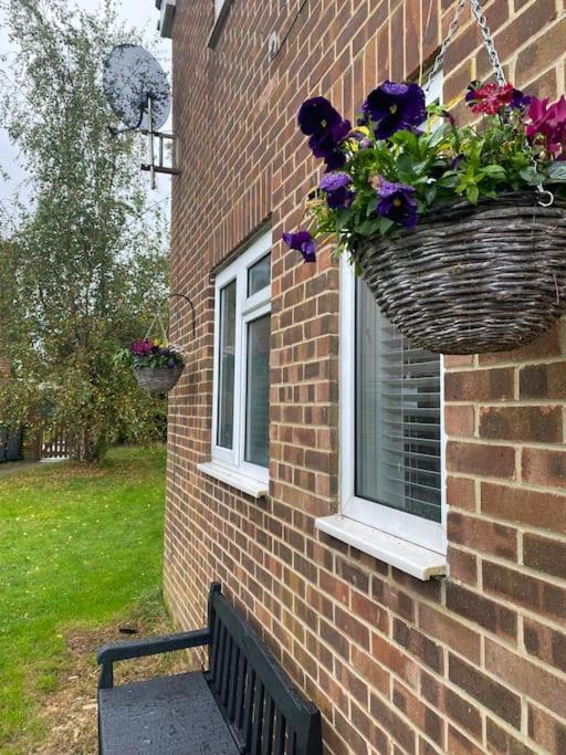 Cosy Studio Apartment Waterlooville Eksteriør bilde
